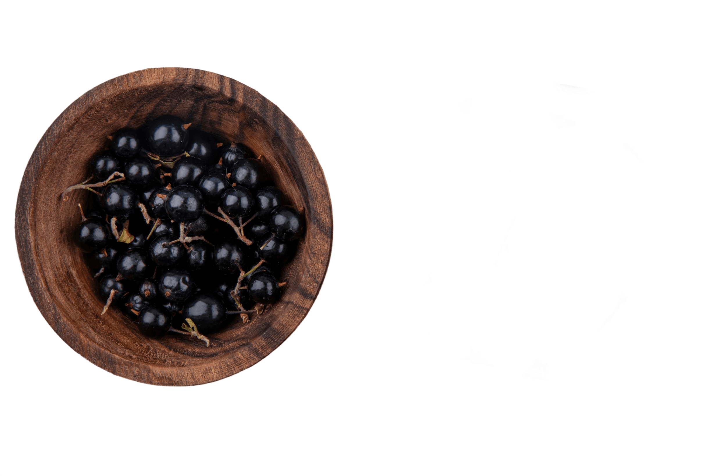Close-up of aronia berry cluster